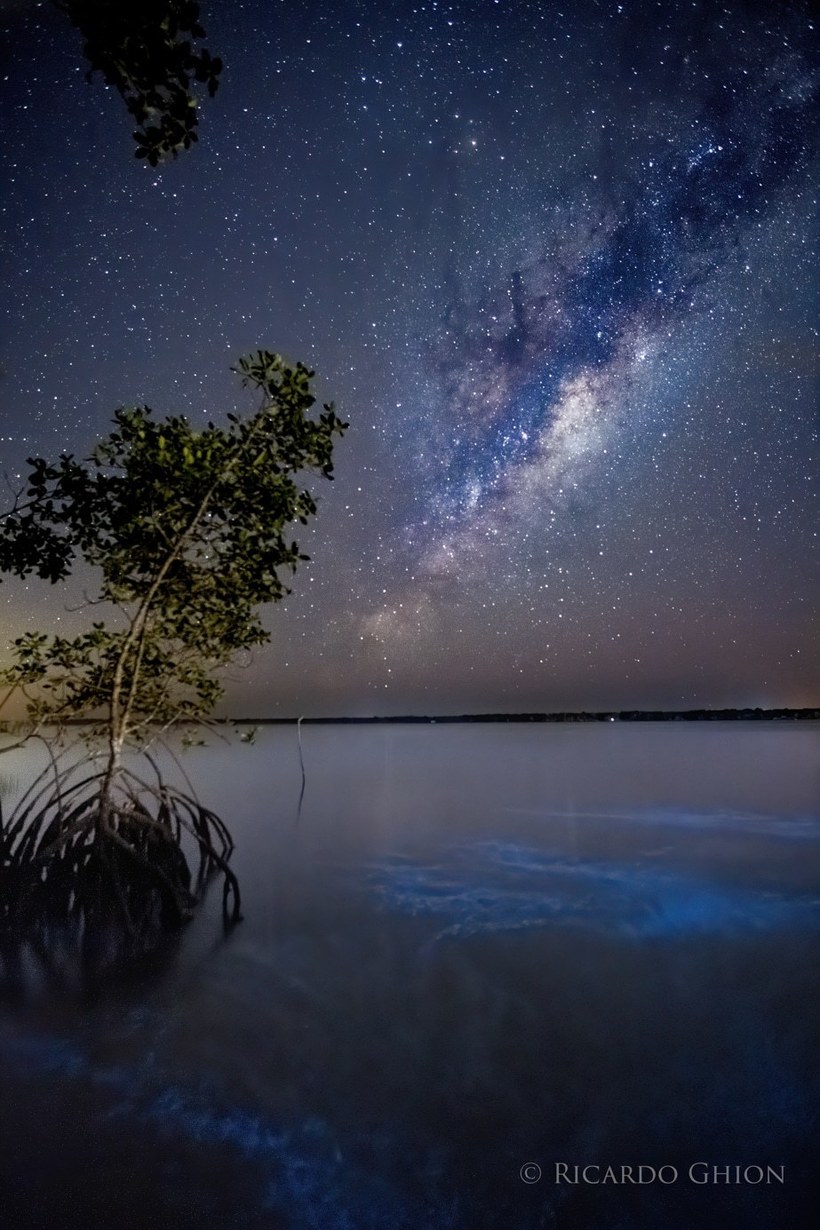 Фотограф запечатлел Млечный Путь и биолюминесцентные воды одновременно