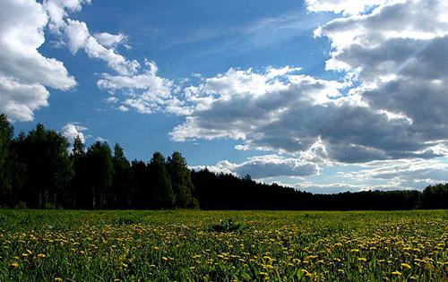 Необъятная Россия: средняя полоса и животные, обитающие на ней