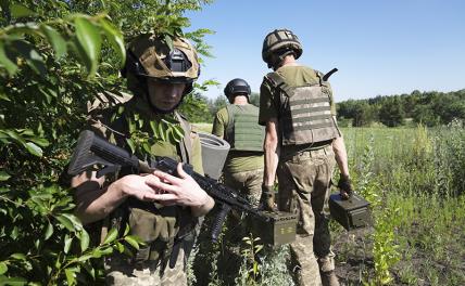 ВСУ рвутся к Бериславу: В планах захват 2 тысячи кв. км и выход к Днепру — но в реальности счет идет на «миллиметры» украина