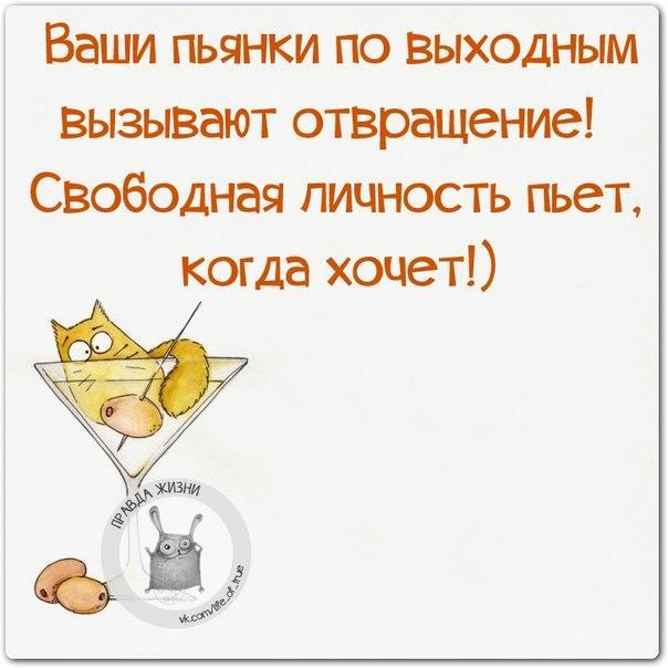 Прикольные незамысловатые фразочки в картинках 