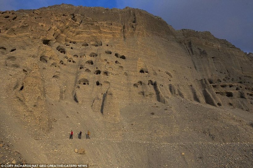 Загадка Небесных пещер Непала: как люди попадали в гроты на высоте 50 метров Путешествия,фото