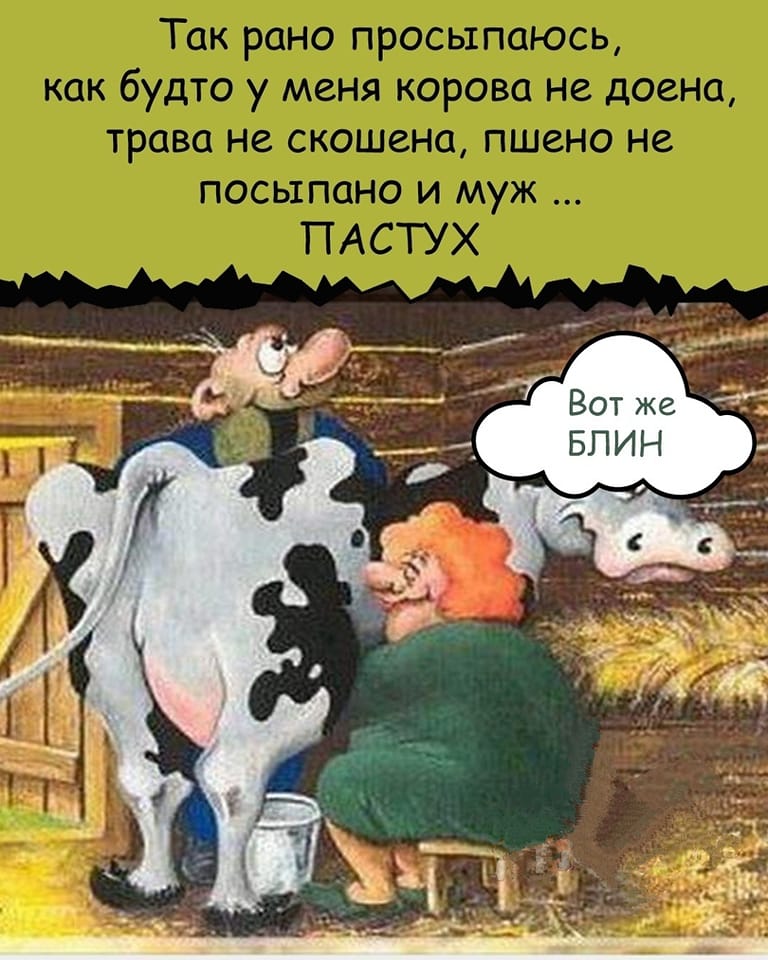 - Ну что, сын, скоро семьей обзаведешься?... прошлой, понял, свинья, говорила, сказала, ночью, такой, итальянец, никогда, француз, наутро, постели, будет, следить, подумала, пьяный, возможности, проблемы, вопрос, пошли