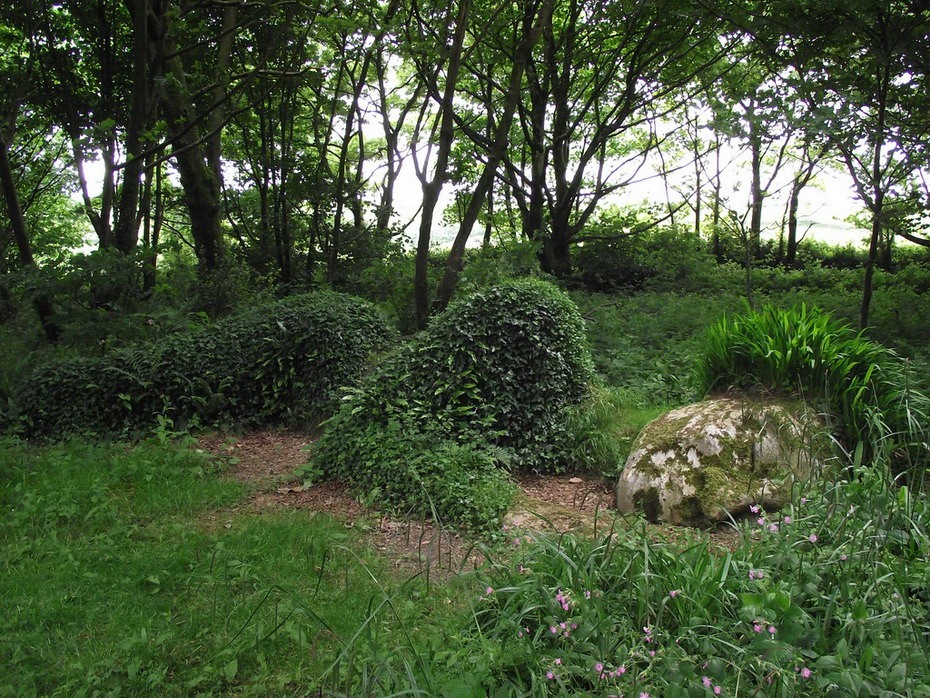 Затерянные сады Хэлигана ботанический сад,Великобритания,достопримечательности,интересное,природа,путешествия
