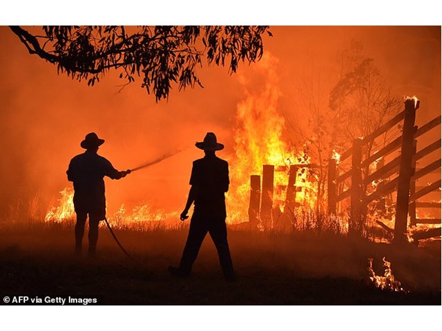 180 человек арестовали за умышленные поджоги лесов в Австралии пожары, пожаров, Австралии, бушуют, человек, человека, скопление, топлива, земле, засуха», Выходит, сказал, КеллиПо, мнению, парламентария, арест, поджоги, причина, глобальным, потеплением«Основная