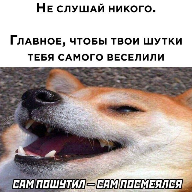 Немного прикольных моментов Немного прикольных моментов позитив,смешные картинки,юмор