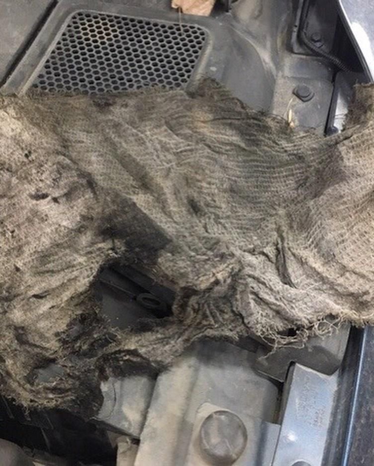 Автослесари забыли под капотом тряпку и теперь должны клиенту новый двигатель Автослесари забыли под капотом тряпку и теперь должны клиенту новый двигатель