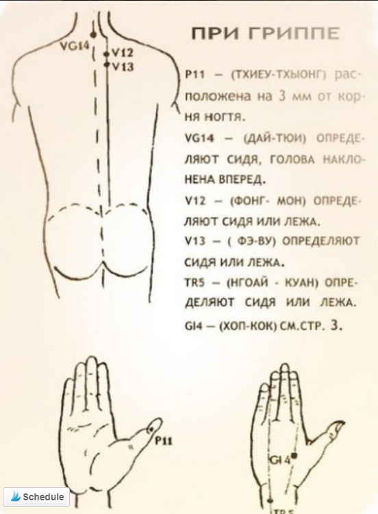 Уникальные свойства бальзама «Звездочка», о которых не знали даже наши родители!