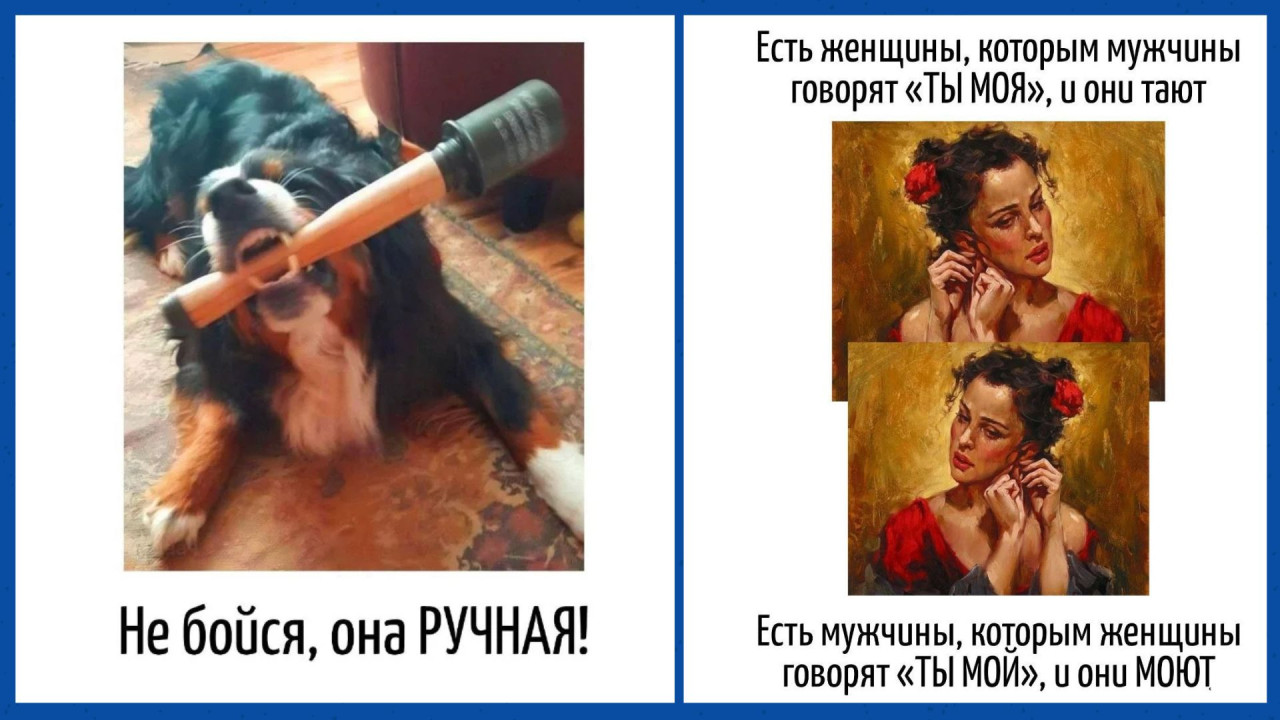 Юмор за день