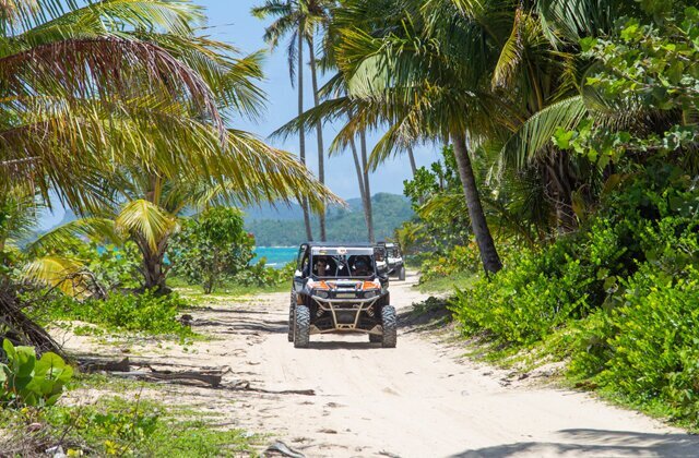 7 причин рвануть в Доминикану Здесь, можно, прокатиться, озера, чтобы, возможность, здесь, пальмы, всего, снимали, вариант, туристов, Помимо, представлениями, могут, пообедать, заглянуть, совсем, прогуляться, Карибском