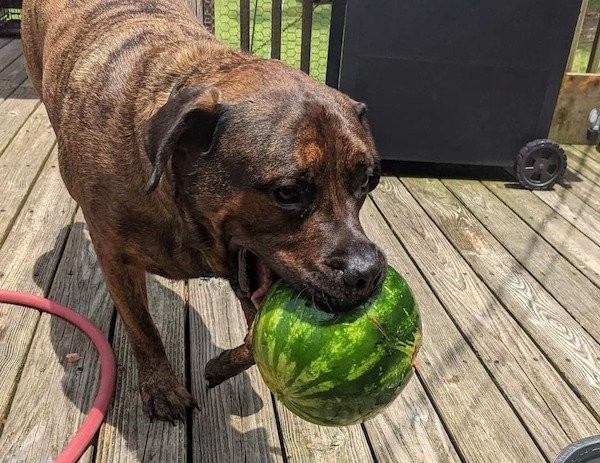 Лучшие шутки для вашего хорошего настроения 
