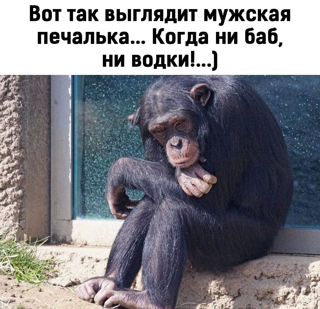 Без тебя печалька картинки