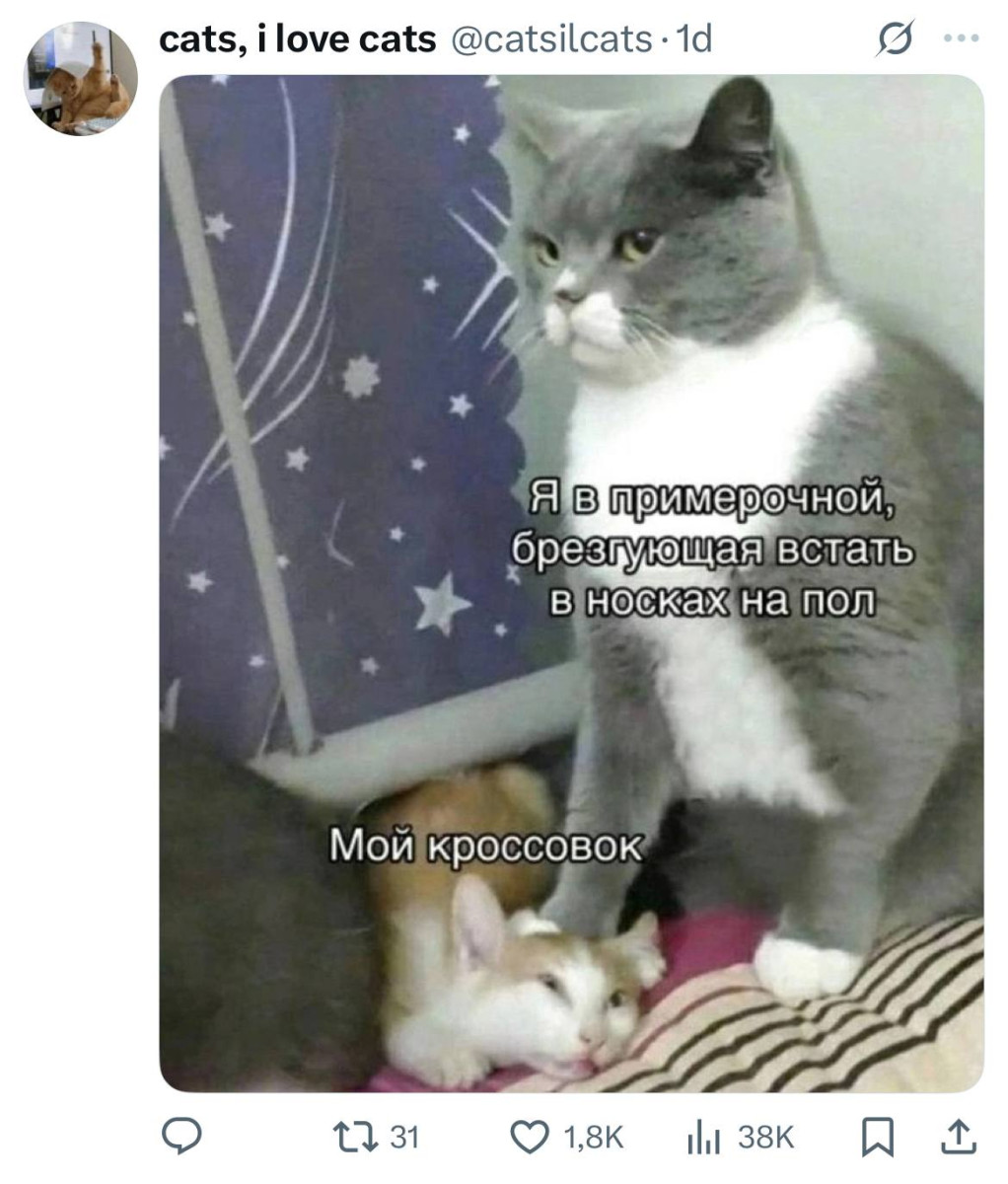 Смешные картинки в субботу и Домовенок Кузя 