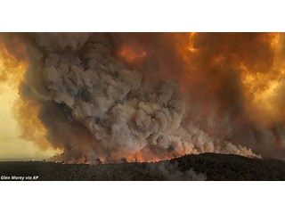 180 человек арестовали за умышленные поджоги лесов в Австралии