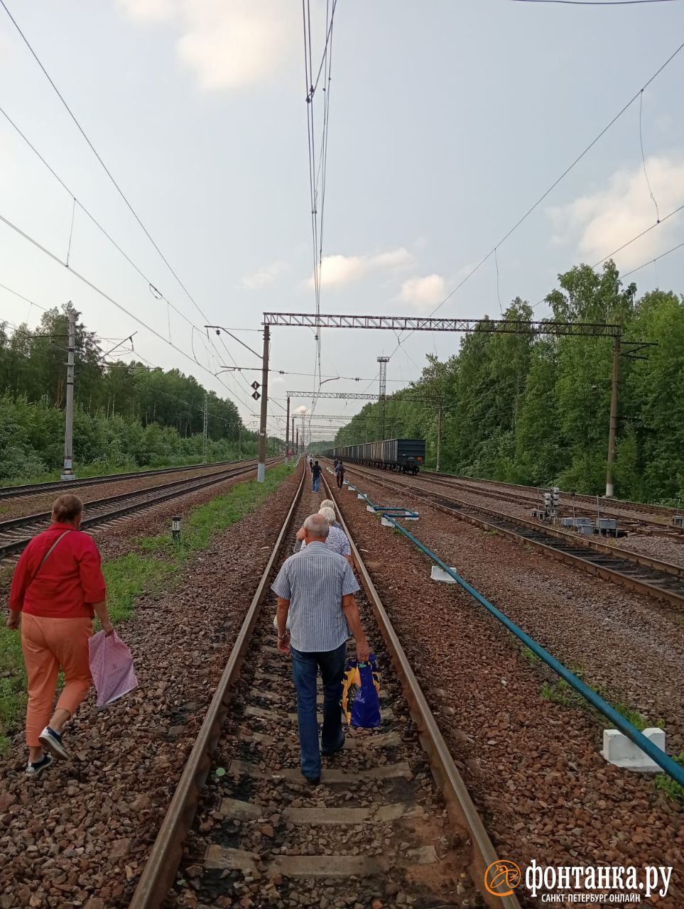 Коллапс с электричками под Петербургом продолжается. Пассажиры выходят на пути