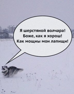 Я решил путешествовать по миру, пока не потрачу все свои сбережения. По моим подсчётам, я буду дома где-то в 19:30 анекдоты,веселые картинки,приколы,юмор