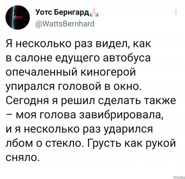 25 приколов августа из социальных сетей позитив,смешные картинки,юмор