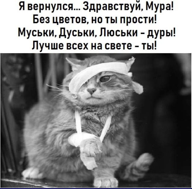 Иван-царевич пил три дня и три ночи и после этого увидел, что Василиса прекрасная! анекдоты,демотиваторы,приколы,юмор