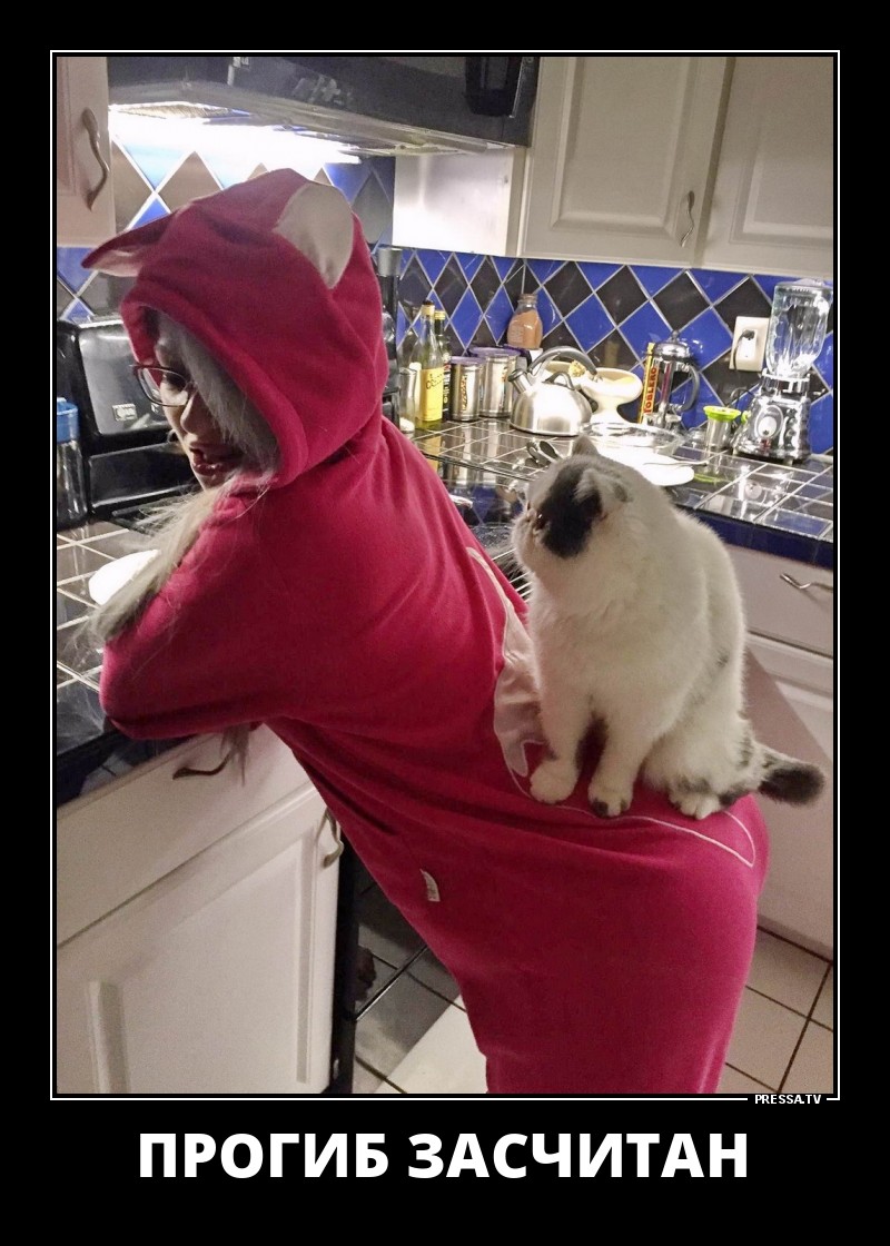 Смешные и веселые жизненные демотиваторы Смешные и веселые жизненные демотиваторы