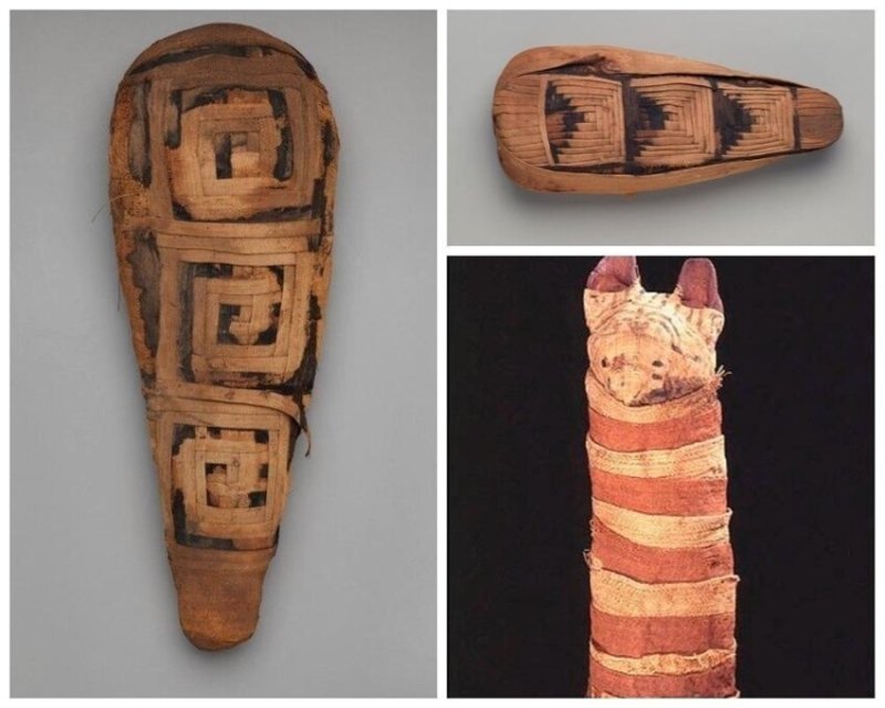 Древнеегипетский бандаж: искусство наложения бинтов и загробный зоопарк