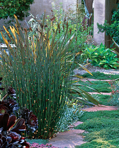 wild-garden-inspiration-herbs5.jpg wild-garden-inspiration-herbs5.jpg