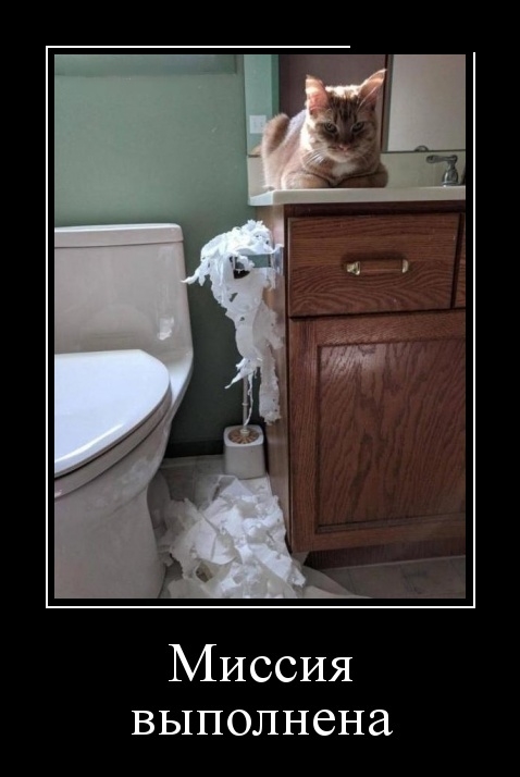 Демотиваторы выходного дня 17 марта 2019 Демотиваторы выходного дня 17 марта 2019