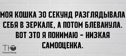 Жена приходит утром домой пьяная в дрыбадан. Муж бегает вокруг неё, кричит: «Если бы у меня был нож, — я б тебя зарезал!.. демотиваторы,отношения,приколы,юмор