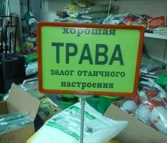 Интернет мемы в субботу и малина 