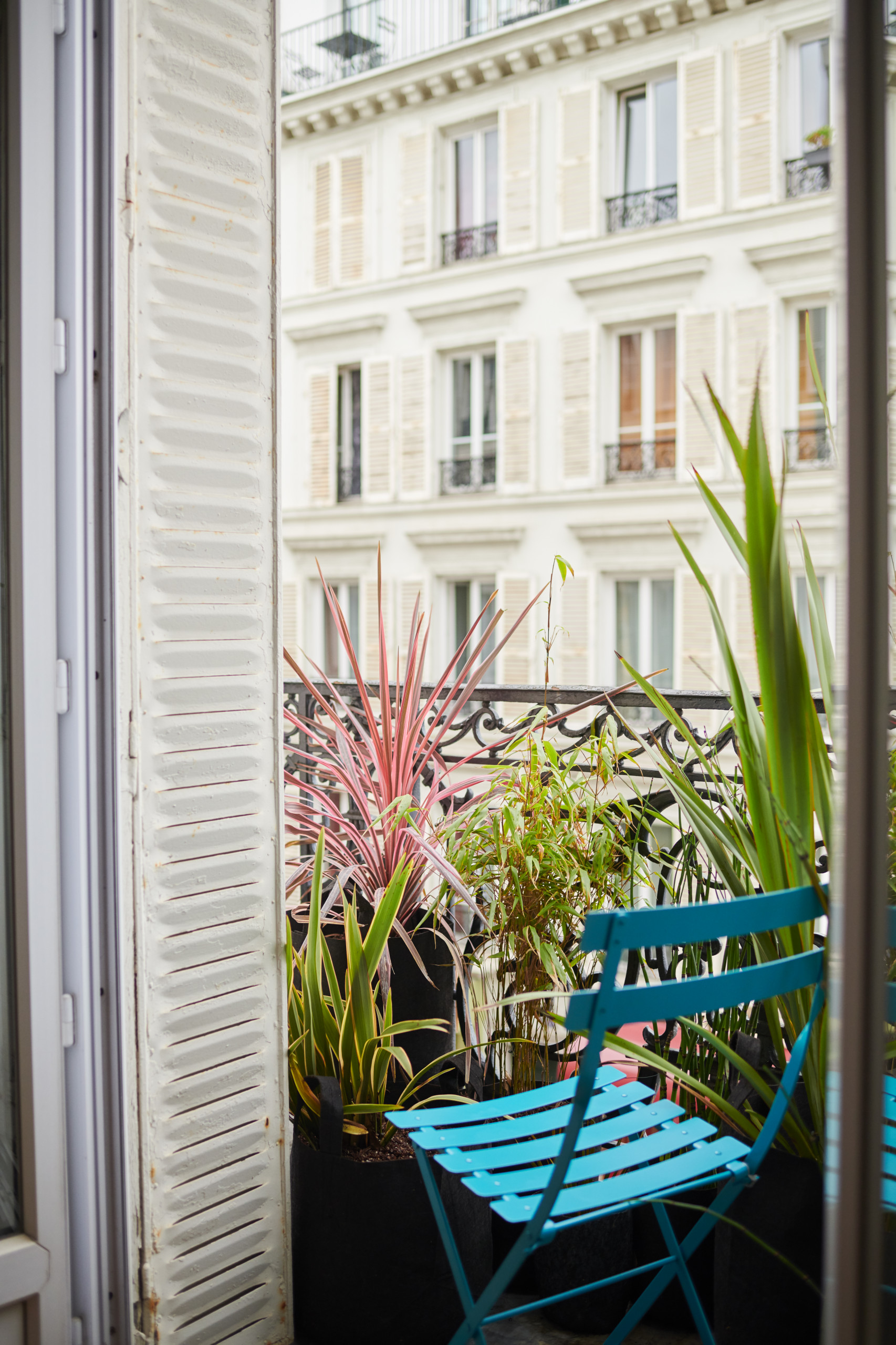 6 проектов: Что сажают на своих балконах французы растений, Изабель, растения, балкона, полутени, балконе, чтобы, хотела, ставим, можно, создать, солнце, растениями, требуют, балкон, горшки, района, лаванду, травами, стоит