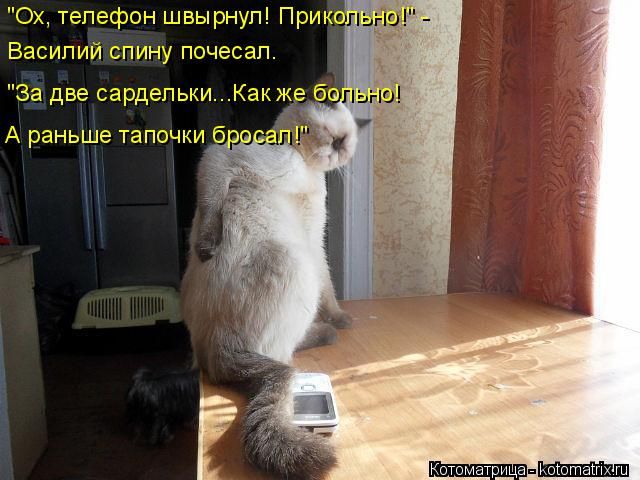 Смешные картинки на тему больной спины, матери открытка вектор