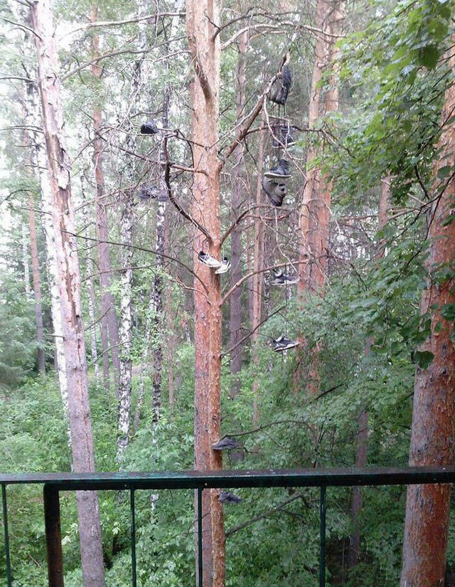 Удивительные снимки с российских просторов люди, прикол, россия