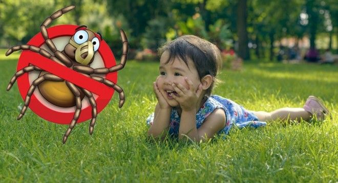 как избавиться от клещей
