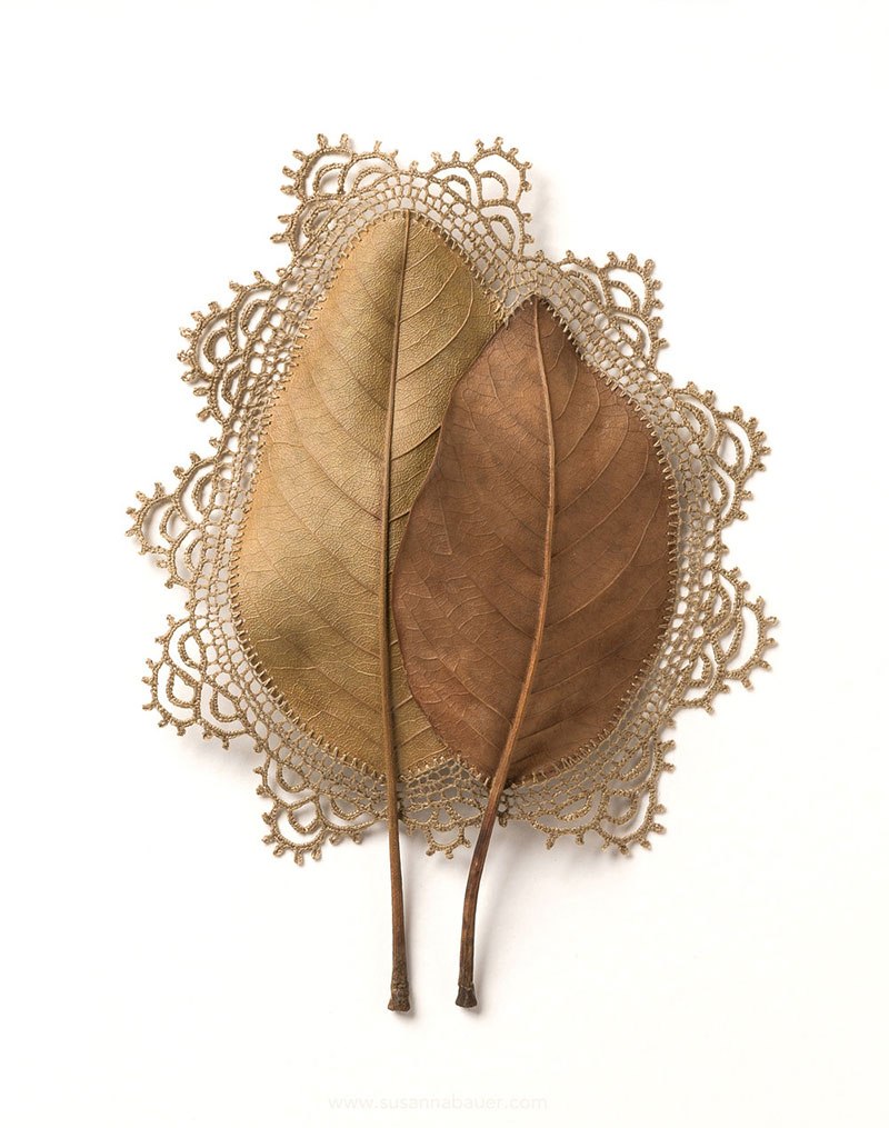 Необычное хобби: вязание крючком на опавших листьях