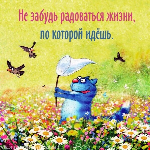 Лучшие шутки для вашего хорошего настроения 