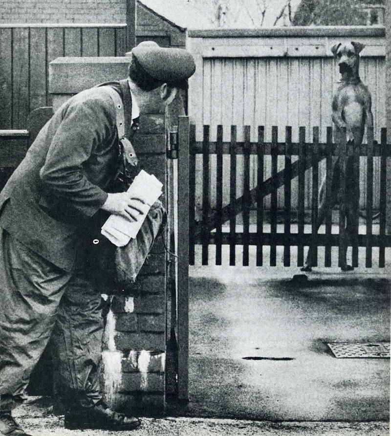 Лови момент истории: 35 самых удачных фото, украшавших журнал LIFE 