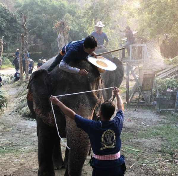 В Чианг Мае стартует школа Mahout