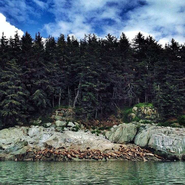 Такая впечатляющая Аляска Такая впечатляющая Аляска природа