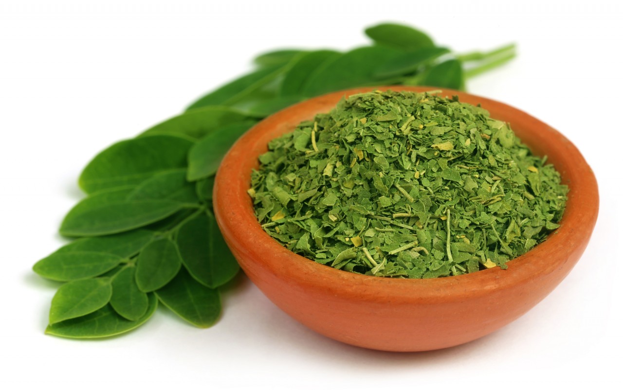 ÐšÐ°Ñ€Ñ‚Ð¸Ð½ÐºÐ¸ Ð¿Ð¾ Ð·Ð°Ð¿Ñ€Ð¾ÑÑƒ hoja de moringa seca