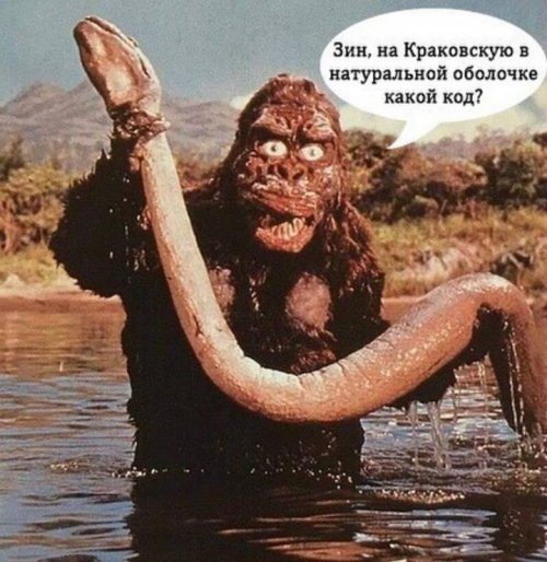 Прикольные картинки и фотки 