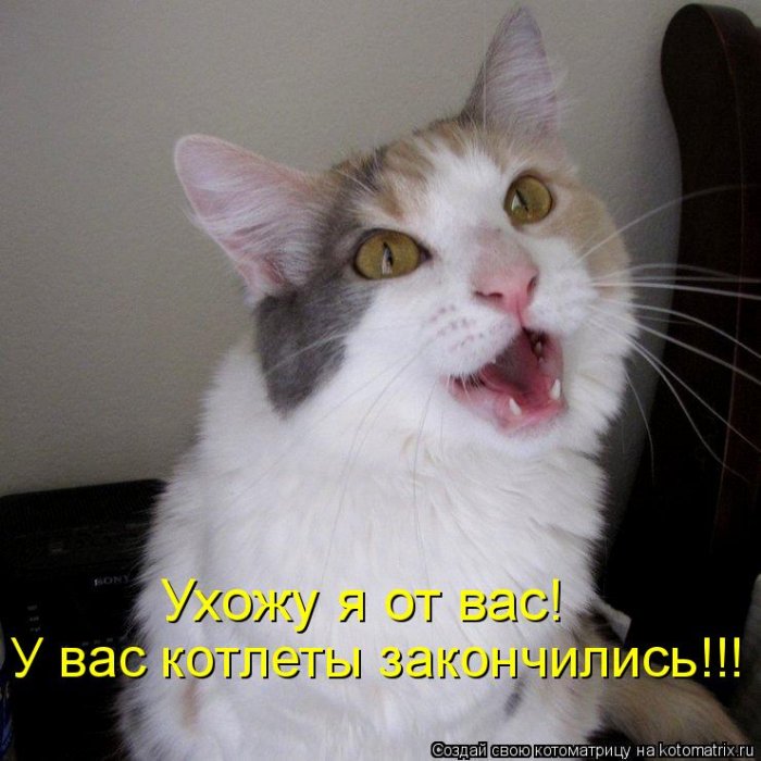 Мысли вслух :)