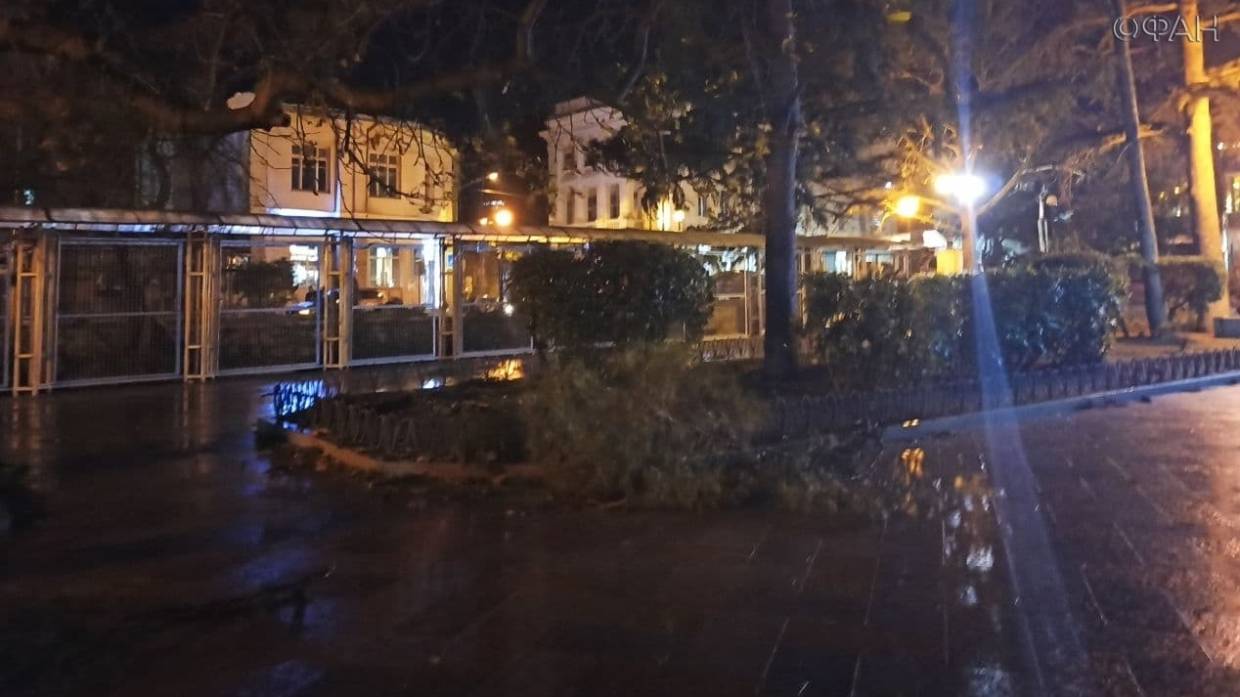 Мощный ураган в Крыму повалил деревья и оставил без света часть Симферополя Происшествия