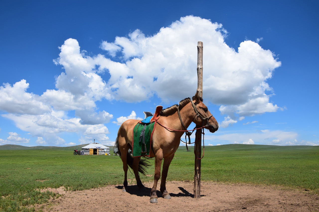 Horse stand. Коновязь Тыва. Монгольская юрта коновязь. Бурятская коновязь у бурят. Коновязь Хакасская.