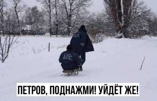 Свежие <br / title=