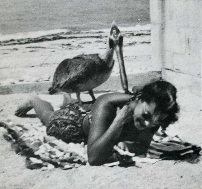 Архивные смешные фото из журнала «LIFE» прикольно, ретро, фото