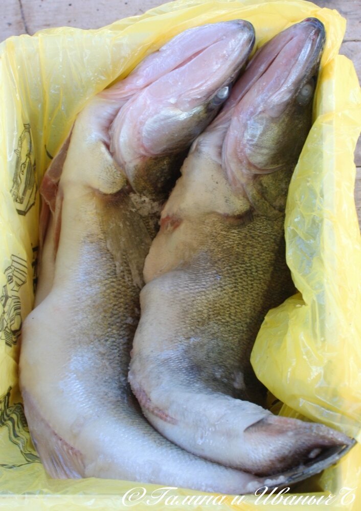 Судаки копчёные Судаки копчёные