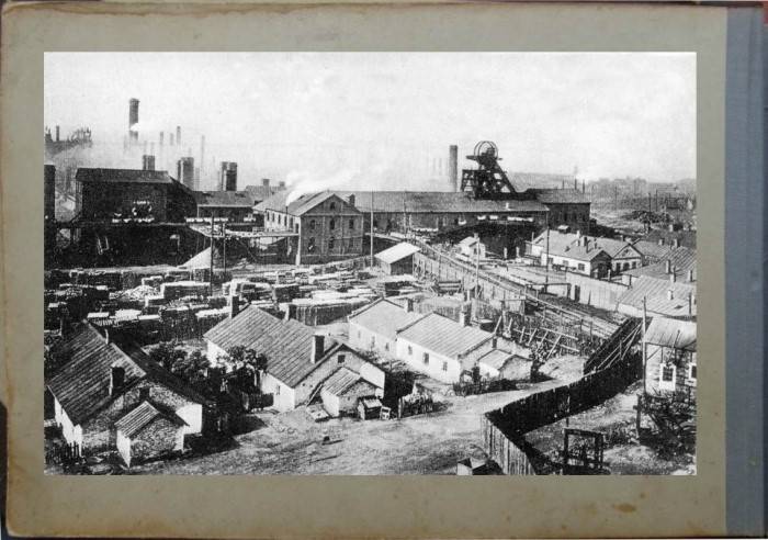 От дикой степи до промышленного центра: освоение земель Донбасса в XVIII – начале XIX история