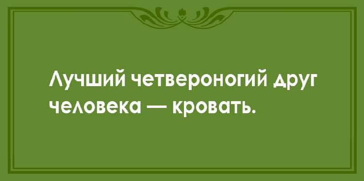 Шуточки, которые поднимут Ваше настроение 