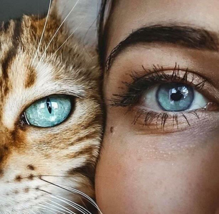 20 душевных фотографий, которые растопят ваше сердце и восполнят нехватку добра 20 душевных фотографий, которые растопят ваше сердце и восполнят нехватку добра