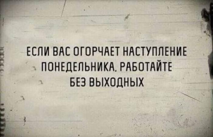 Культурный человек никогда не обзовет вас «пид... ом». Он скажет: — Вам вполне можно выступать на Евровидении! Культурный человек никогда не обзовет вас «пид... ом». Он скажет: — Вам вполне можно выступать на Евровидении! демотиваторы