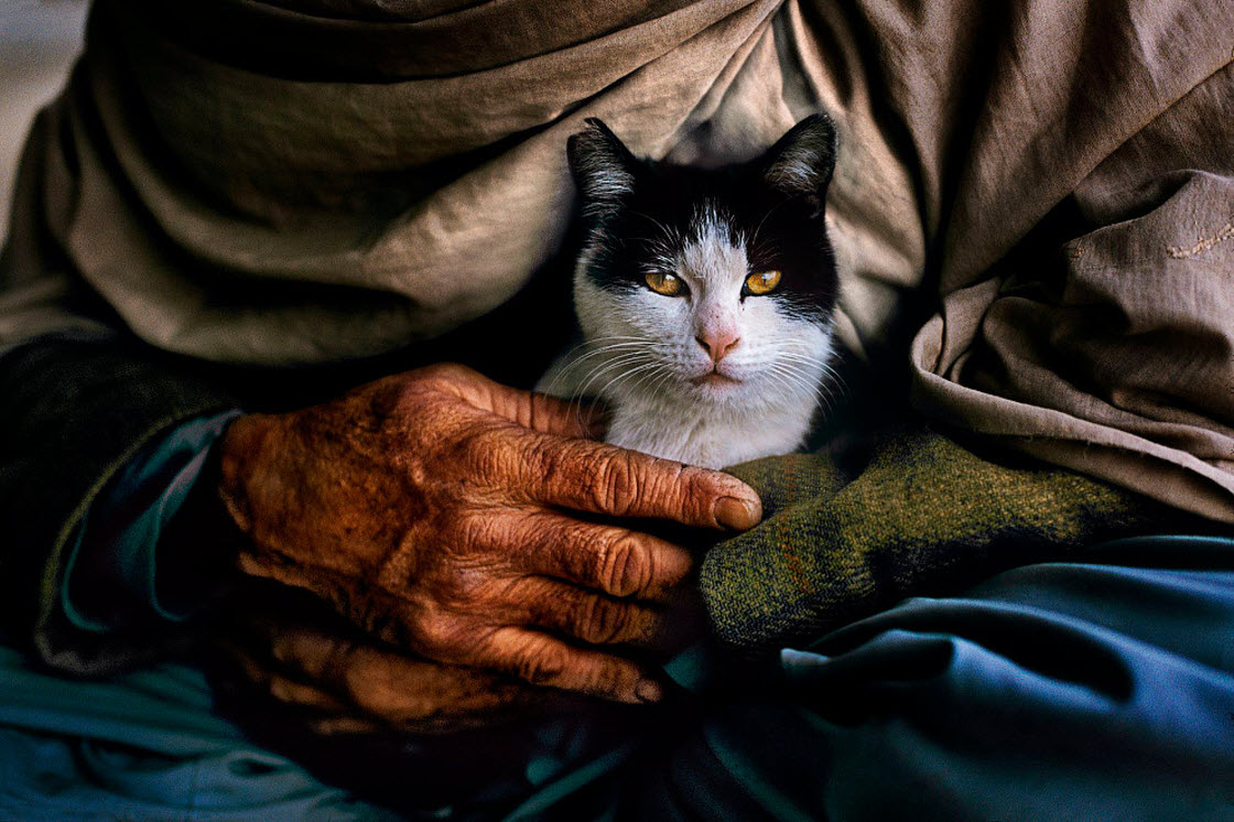 Люди и животные Люди и животные животные, люди, природа