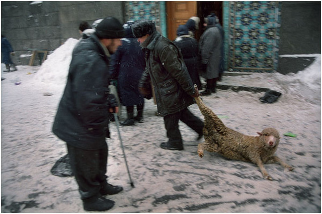 Фотожурналист Сергей Максимишин – мастер фотоисторий 9